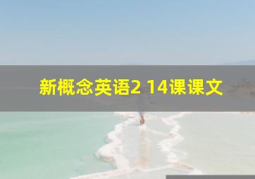 新概念英语2 14课课文